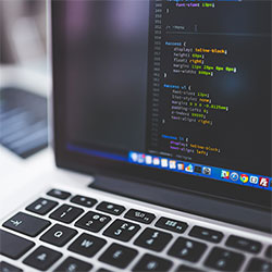 我以为17c一起草只是视频直播——直到我点开了这个入口…