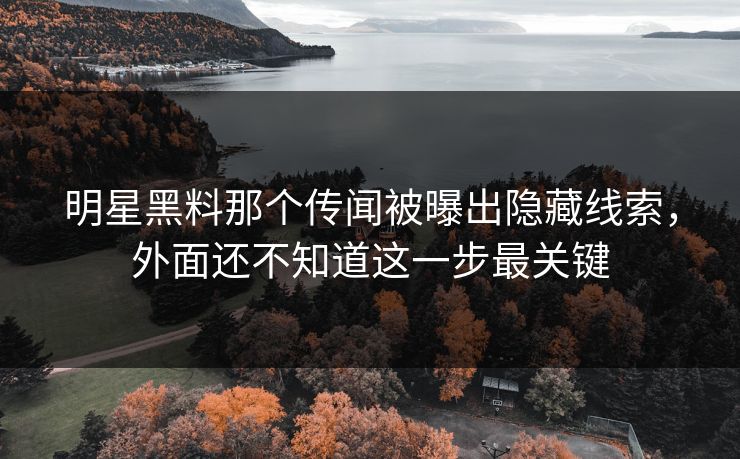 明星黑料那个传闻被曝出隐藏线索，外面还不知道这一步最关键
