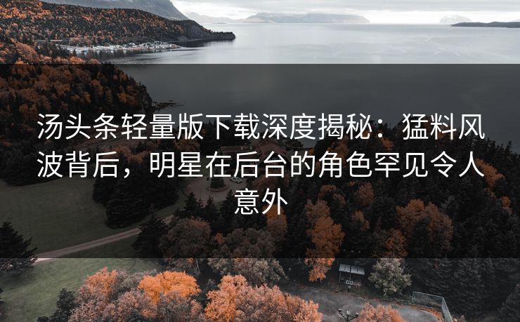 汤头条轻量版下载深度揭秘：猛料风波背后，明星在后台的角色罕见令人意外